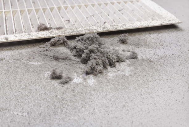 Best Affordable Air Duct Cleaning  in Wapakoneta, OH