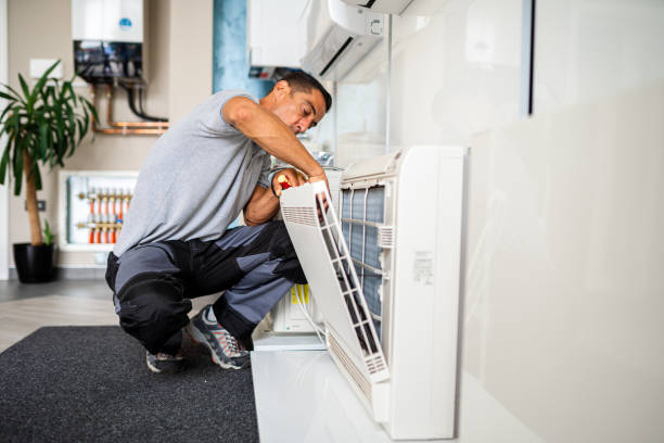 Best Affordable Duct Cleaning Services  in Wapakoneta, OH
