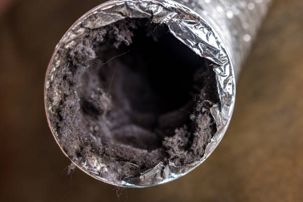 Best Best Air Duct Cleaning Company  in Wapakoneta, OH