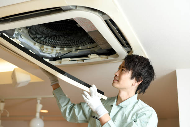 Best Affordable Duct Cleaning Services  in Wapakoneta, OH