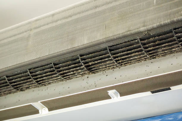 Best Best Air Duct Cleaning Company  in Wapakoneta, OH