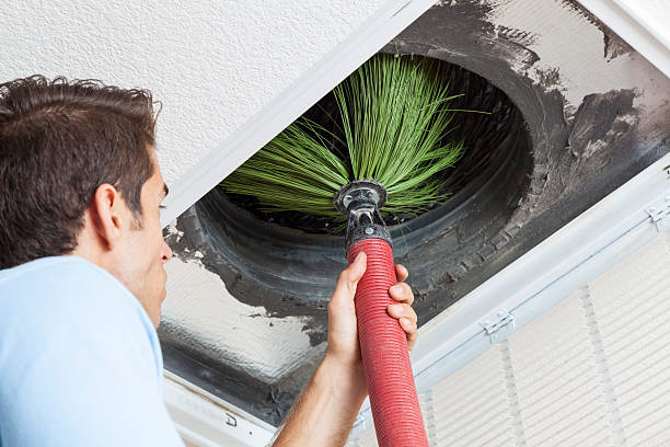 Best Air Duct Cleaning Near Me  in Wapakoneta, OH