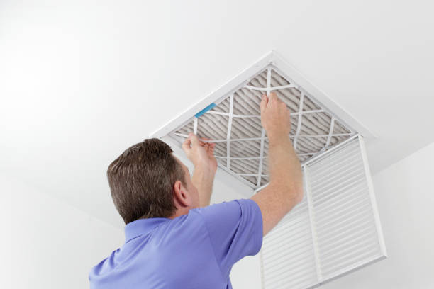 Best Professional Duct Cleaning Services  in Wapakoneta, OH